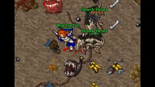 [ TIBIA ] Shock Head  [ Montaria ] - BRONSON SERVER