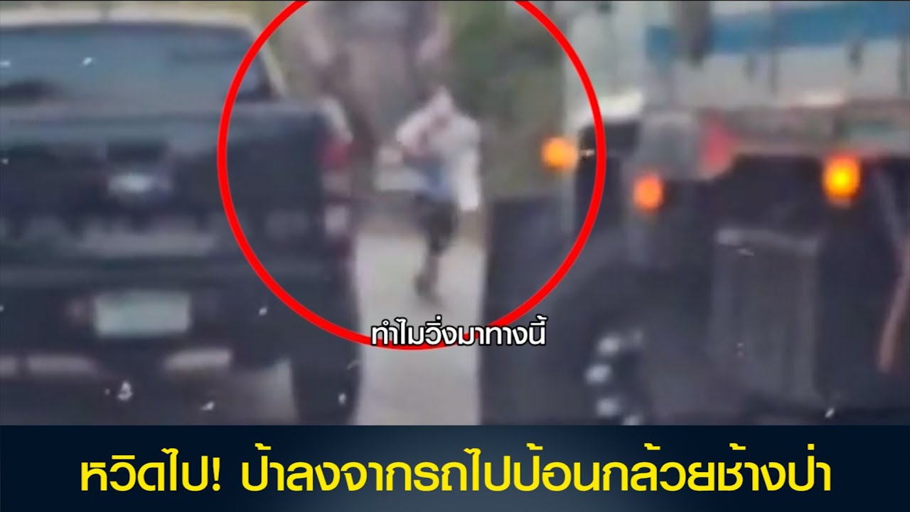 หวิดไป! ป้าลงจากรถไปป้อนกล้วยช้างป่า