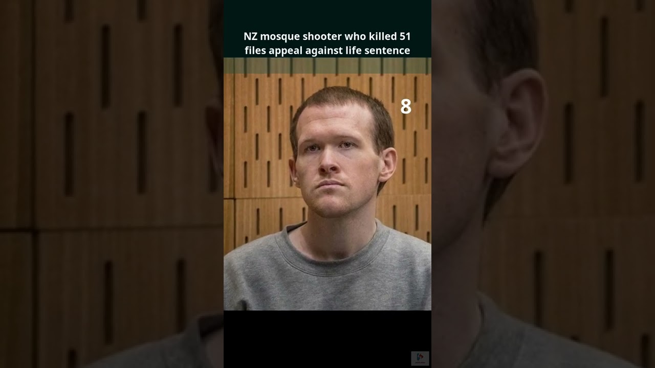 NZ mosque shooter who killed 51 files appeal against life sentence