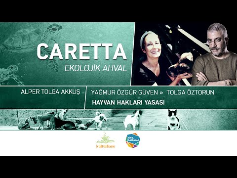 Caretta \