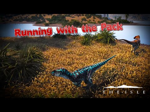DayZ Veteran Try's The Isle For The FIRST TIME