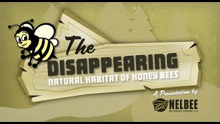 The Disappearing Natural Habitat of Honey Bees
