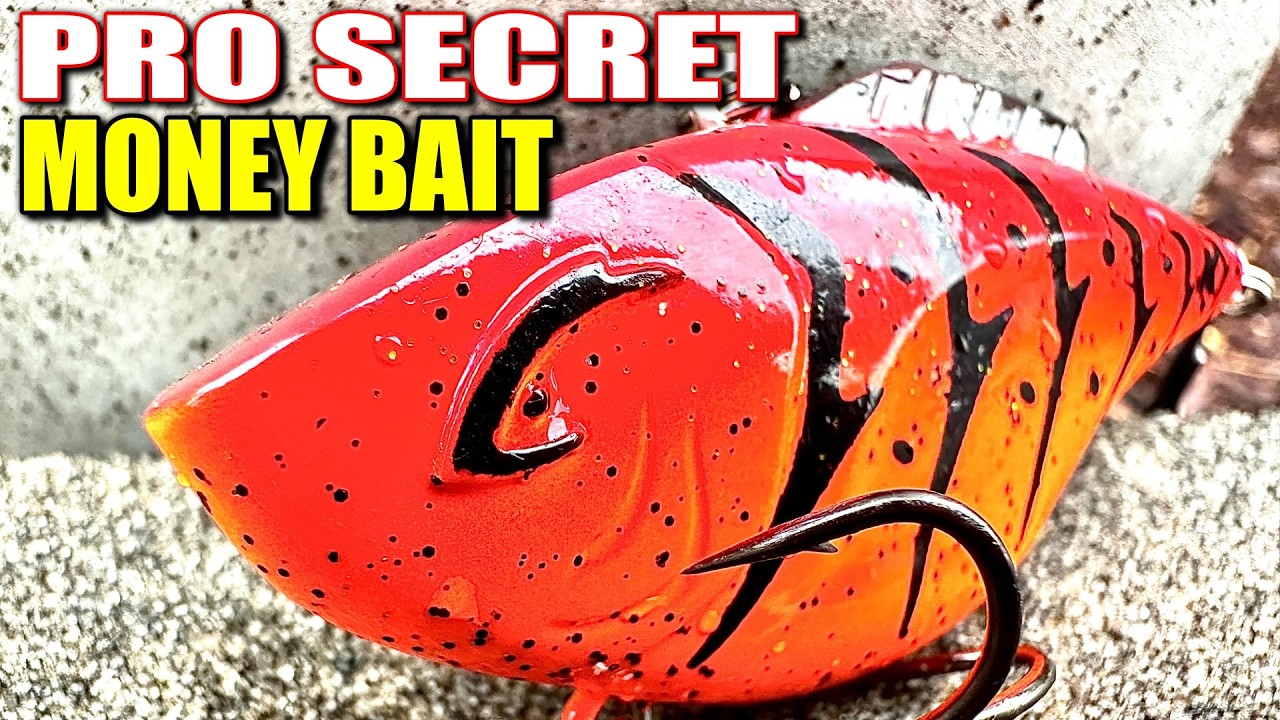 Pro Anglers Are Cashing Checks On This New Lipless – You've Never Heard Of!