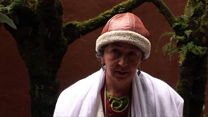 Cosmovisin Andina  Sandra Leon (Ecuador)