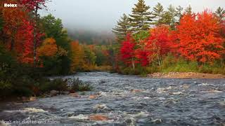 Relaxing & Soothing soft River Sounds Near a Beautiful Waterfall in the Rocky Mountains screenshot 3