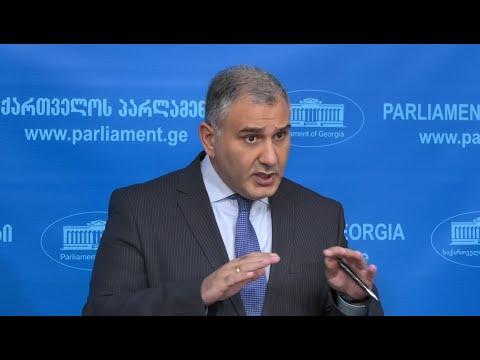 ოპოზიციას სურვილი აქვს, უსაგნო ოპონირებისთვის ახალი ფრონტი გაშალონ - სარჯველაძე