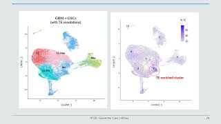 Uncovering the Role of Retrotransposons in Glioblastoma... - Samantha Yuen - Poster - ISMB 2024