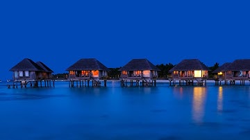 How to Use the Paint Bucket Tool in Photoshop