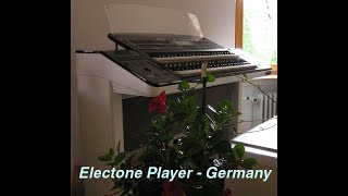 Labyrinth of Love (T-Square) performed on Yamaha ELX-1m by Electone Player