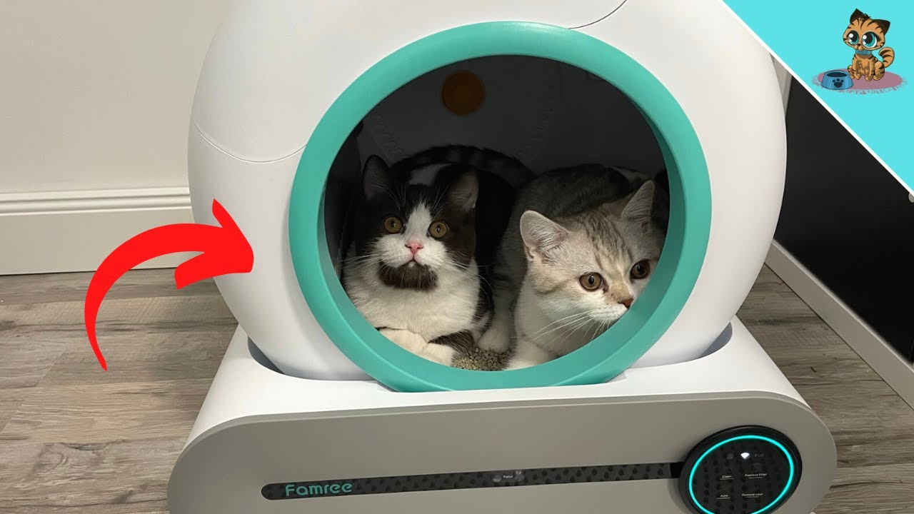 Selbstreinigende, automatische Katzentoilette Trixie Heimtierbedarf