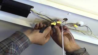 Sean LED Retrofit Indoff ES