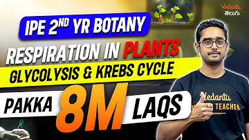 Intermediate 2nd Year Botany | Glycolysis and Krebs Cycle | Pakka 8M Questions | IPE Botany 2024/25