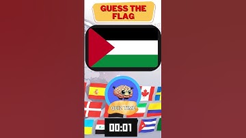 🇵🇸Can You Guess the Flag ? |  MEDIUM LEVEL !  #shorts