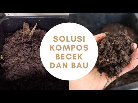 Video: Kompos Busuk! Cara Menghentikan Bau Kompos