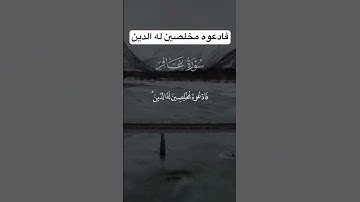 فادعوه مخلصين له الدين، ما تيسر من سورة غافر بصوت الشيخ عبدالله الموسى #قرآن #اكسبلور #quran #islam