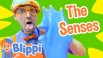 Blippi Learns the 5 Senses | Blippi Full Episodes | Educational Sensory Videos