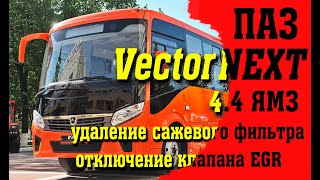 ПАЗ Вектор Некст 4.4 ЯМЗ: удаление сажевого фильтра, отключение клапана ЕГР