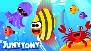Sea Village | Animal Song for Kids | Let's Meet Octopus, Crab, Shrimp, Angelfish | JunyTony