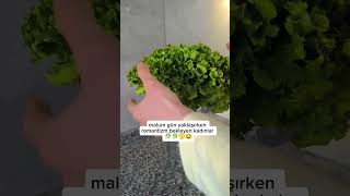 En Azından Marul Yeniyor Ünü Şubat