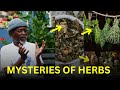 Mysteries of herbs  dr baffour jan  jcf