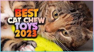 Chew No More: Unleash the Fun with the Best Cat Chew Toys!