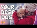 What is the Best Dog for Your Family What is the Best Dog for Your Family