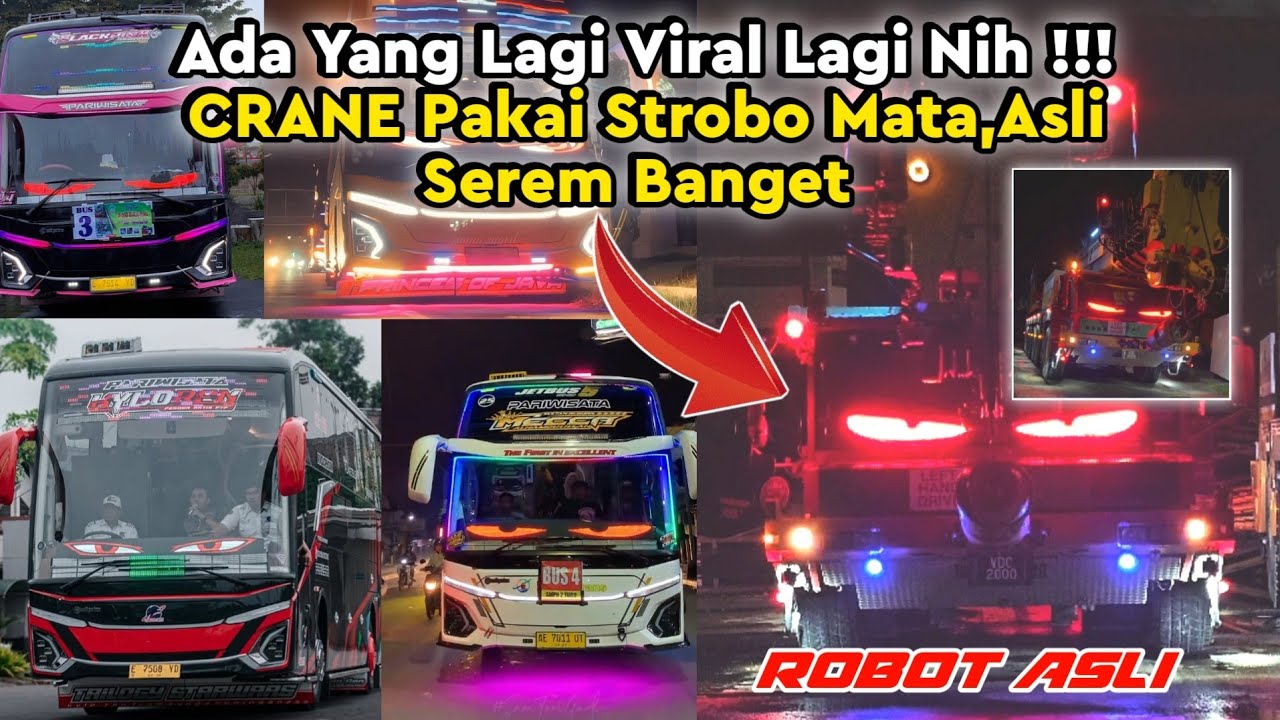 Ternyata Ini Yang Lagi Viral Di Tiktok‼️CRANE Pakai Strobo Mata Kedip Seperti Robot Dunia Nyata.