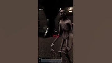 The SCP Facility Guards Worst Nightmare!