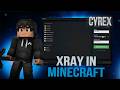 Xray Pack for Minecraft 1.21.10 | How to get XRAY Resource/Texture FREE