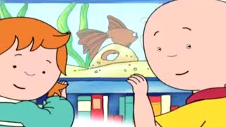 Caillou Italiano -  Caillou e L'acquario | Nuovi episodi | Cartoni per Bambini | WildBrain