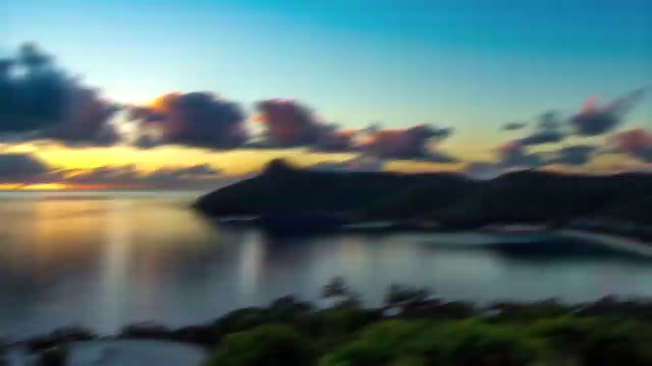 Sydney Global Rally | FGR20 | FOREVER LIVING PRODUCTS | FLP