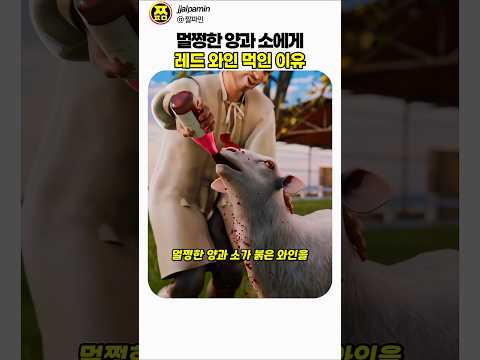 멀쩡한 소랑 양이 와인을 원샷하면 벌어지는 일 #지식 #동물 #shorts thumbnail