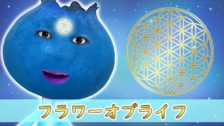 ～中次元メッセンジャー　オ・シリウス～フラワーオブライフ