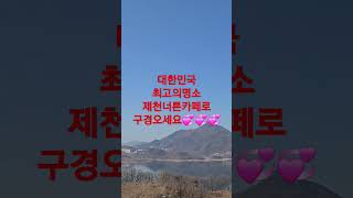 카페너른 영상