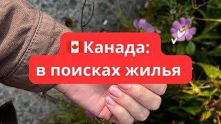 картинка: 🇨🇦Канада: в поисках жилья 😕