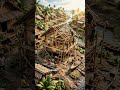 “Pulau ini hampir tenggelam setiap tahun 😳#bangladesh #youtubeshorts #aicreator
