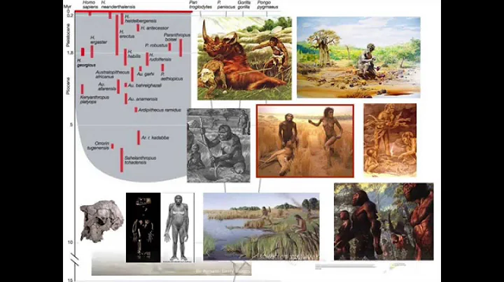 Evolution of the Human Diet, by Leslie Aiello