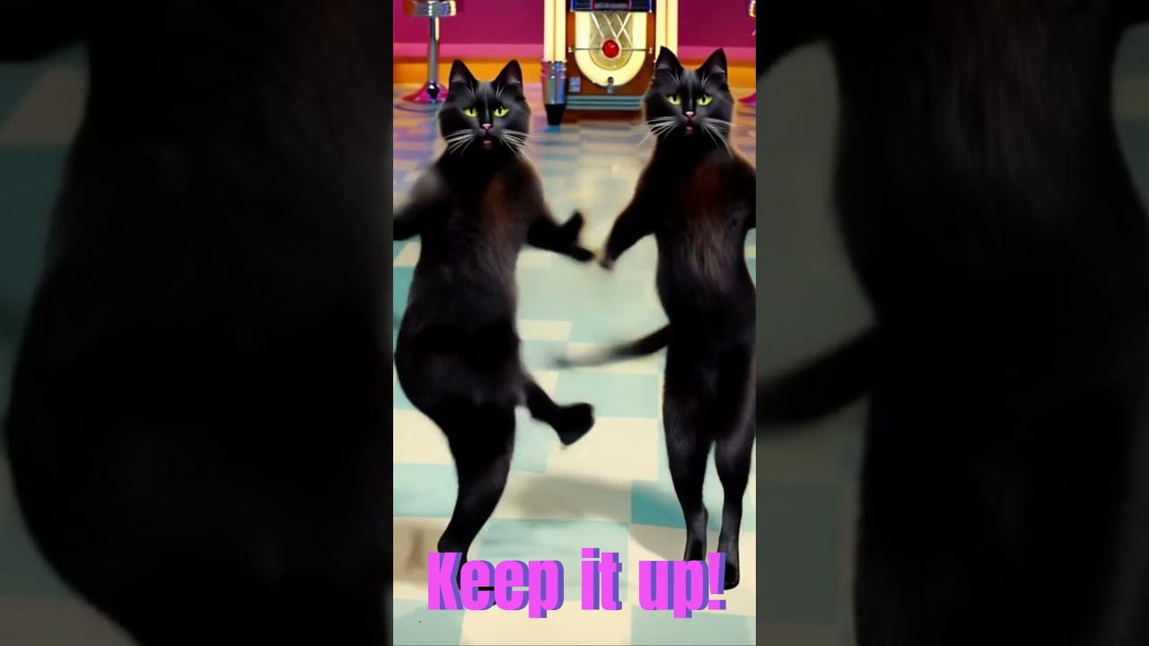 Disco Paws Cat’s Groovy Dance Moves!