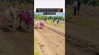 घरचा साज win🥇#bailgadasharyat #bakasur #बकासुर#mathur #shorts #trending #live #sharyat #viralvideo