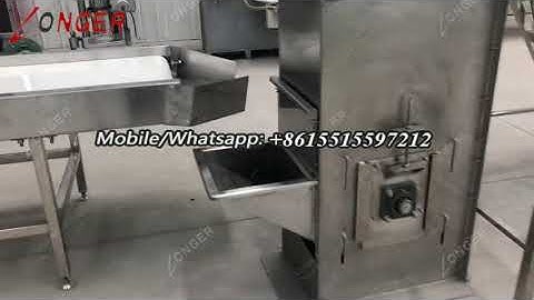 Amazing Chocolate Processing Machine from Cocoa Bean to Liquor