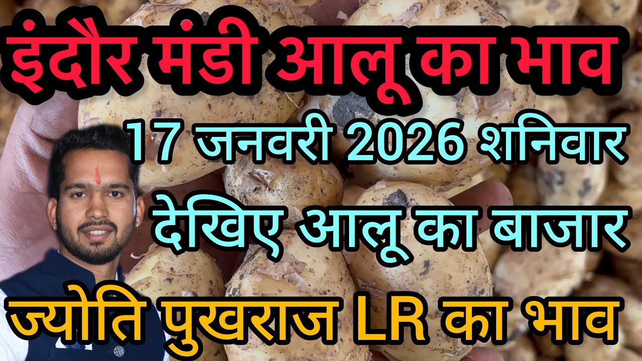 17 January 2026 इंदौर मंडी आलू का भाव 