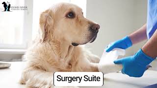 Stones River Veterinary Hospital