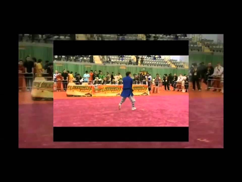 7th Hong Kong Wushu International Festival 2009