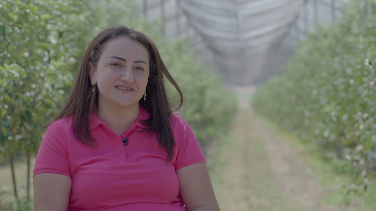 Մի հաջողության պատմություն- Ինտենսիվ այգի