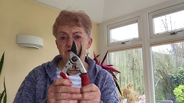 Pruning Spring-flowering Shrubs