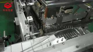 Complete Packing, Arranging, Cartoning, Palletizing and Packaging Line