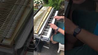 IMG 0095