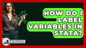 How Do I Label Variables In Stata? - The Friendly Statistician