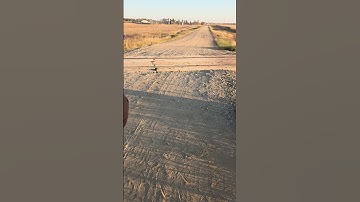 CN Hotbox Detector Wainwright Subdivision