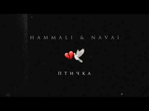 Hammali x Navai - Bird 1 Hour